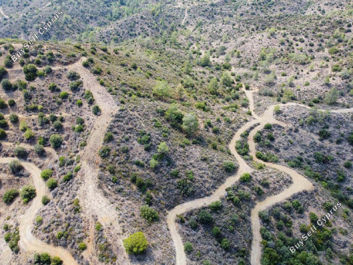 land for sale ora larnaca 8716172 image 16294739