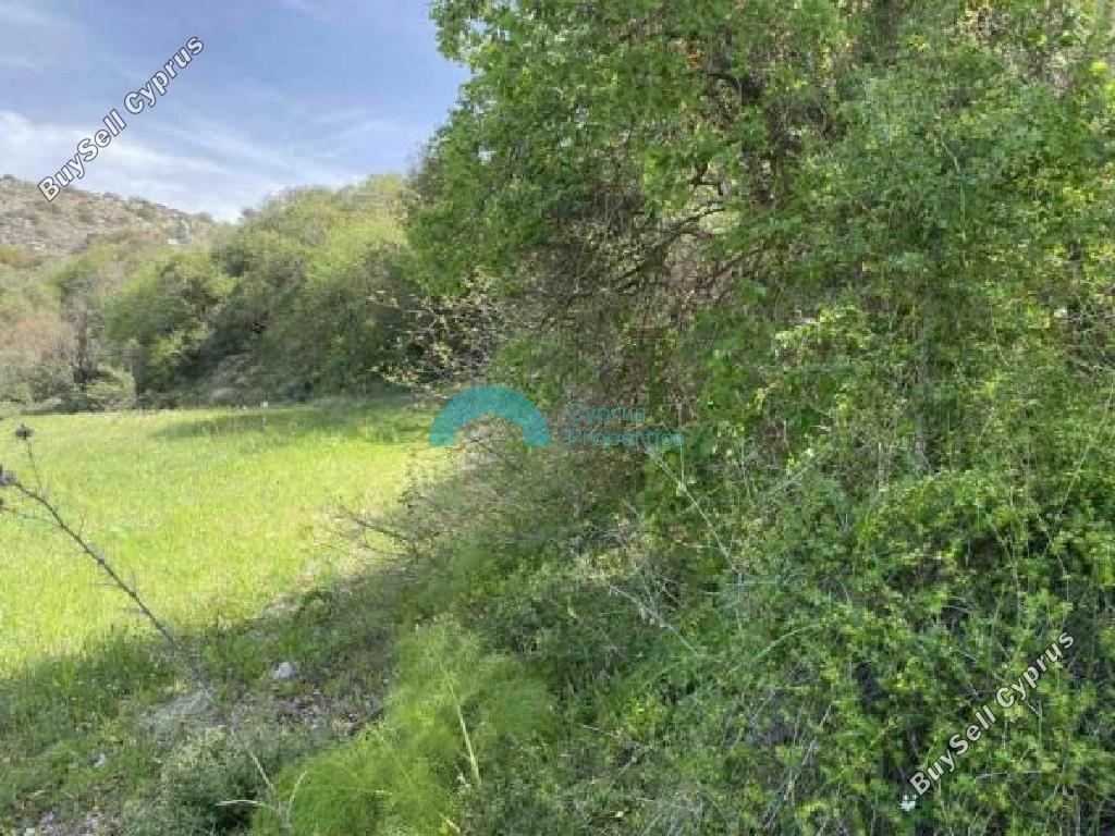 land for sale peristerona pafou paphos 8804172 image 16776740