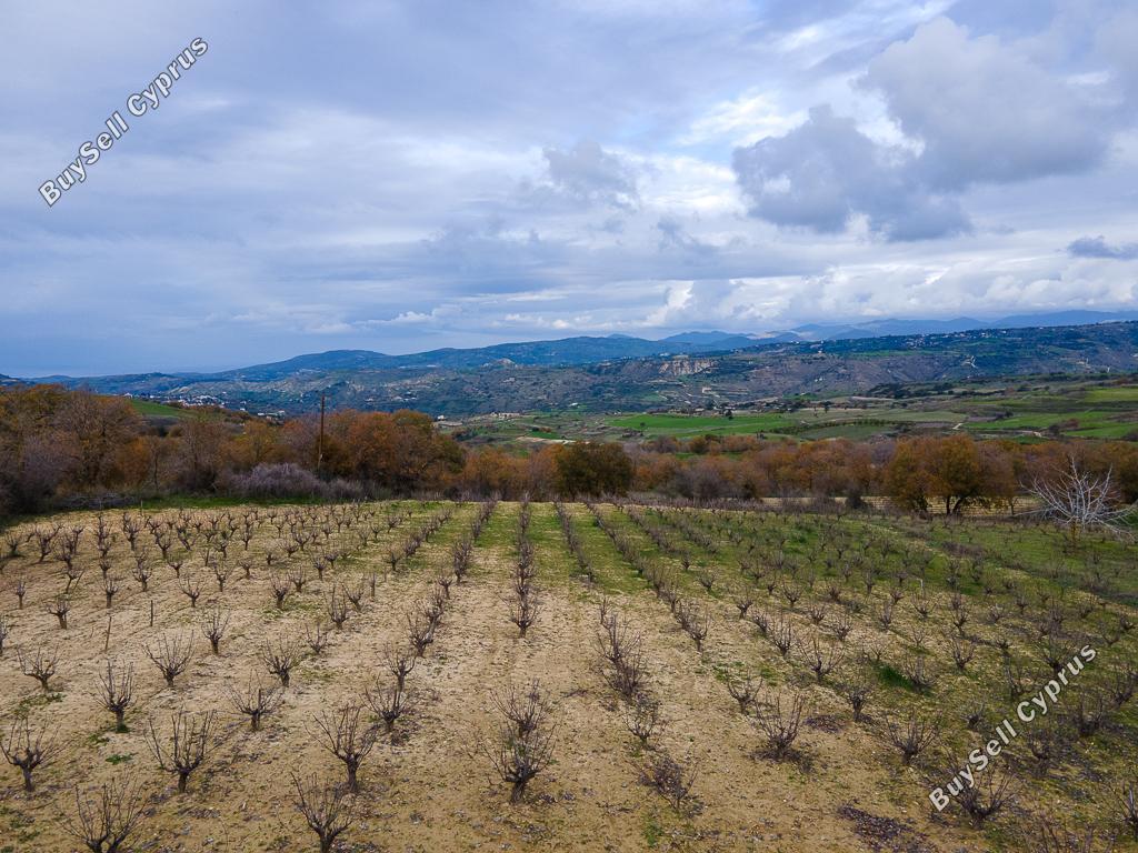 land for sale stroumbi paphos 1648172 image 16009391