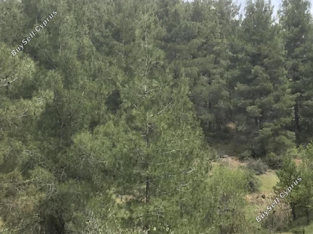 land for sale farmakas nicosia 7953272 image 13692463