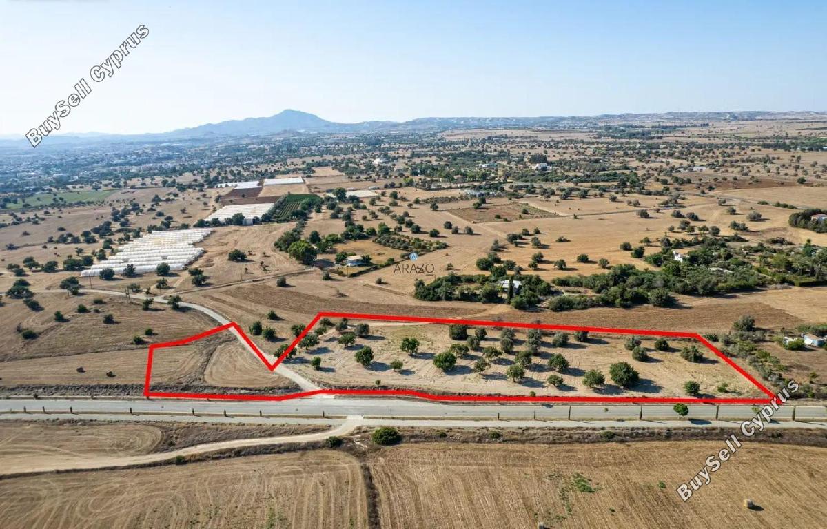 land for sale mazotos larnaca 1710272 image 5674813