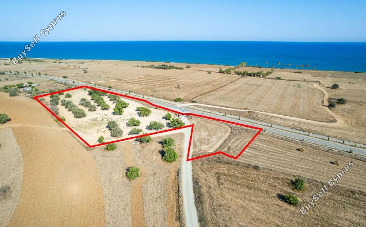 land for sale mazotos larnaca 1710272 image 5674820