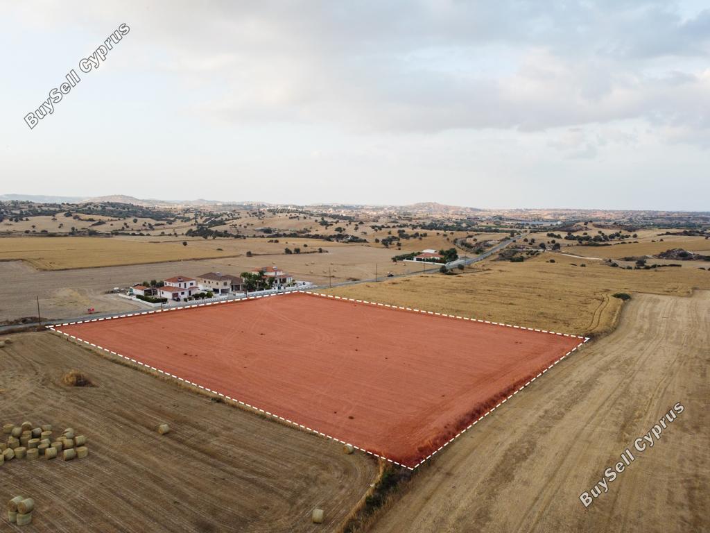 land for sale alaminos larnaca 831372 image 12840432