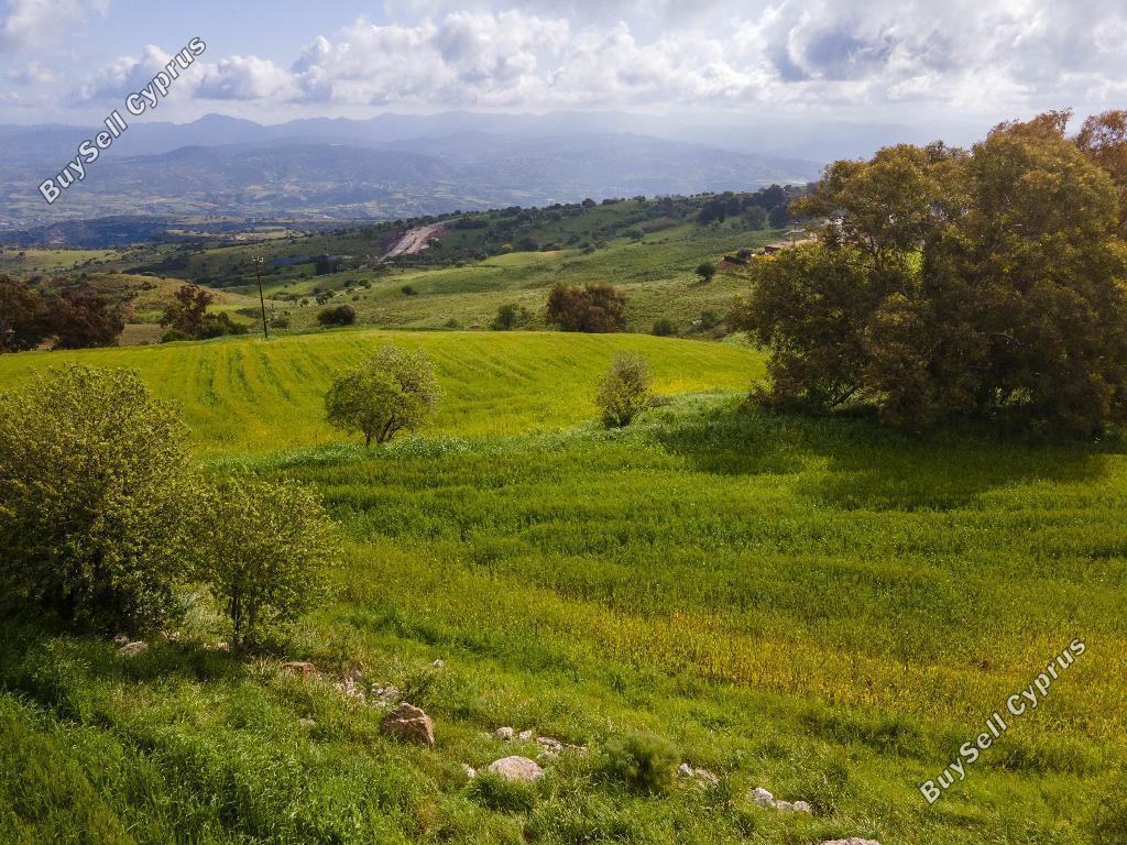 land for sale drousia paphos 946372 image 15599045