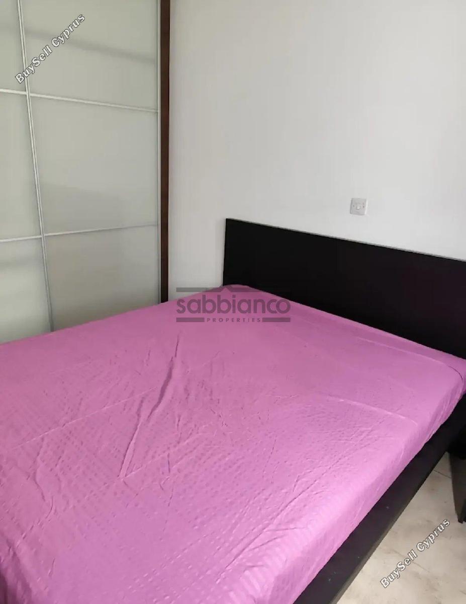 2 bedroom apartment for rent strovolos nicosia 8748472 image 16464735