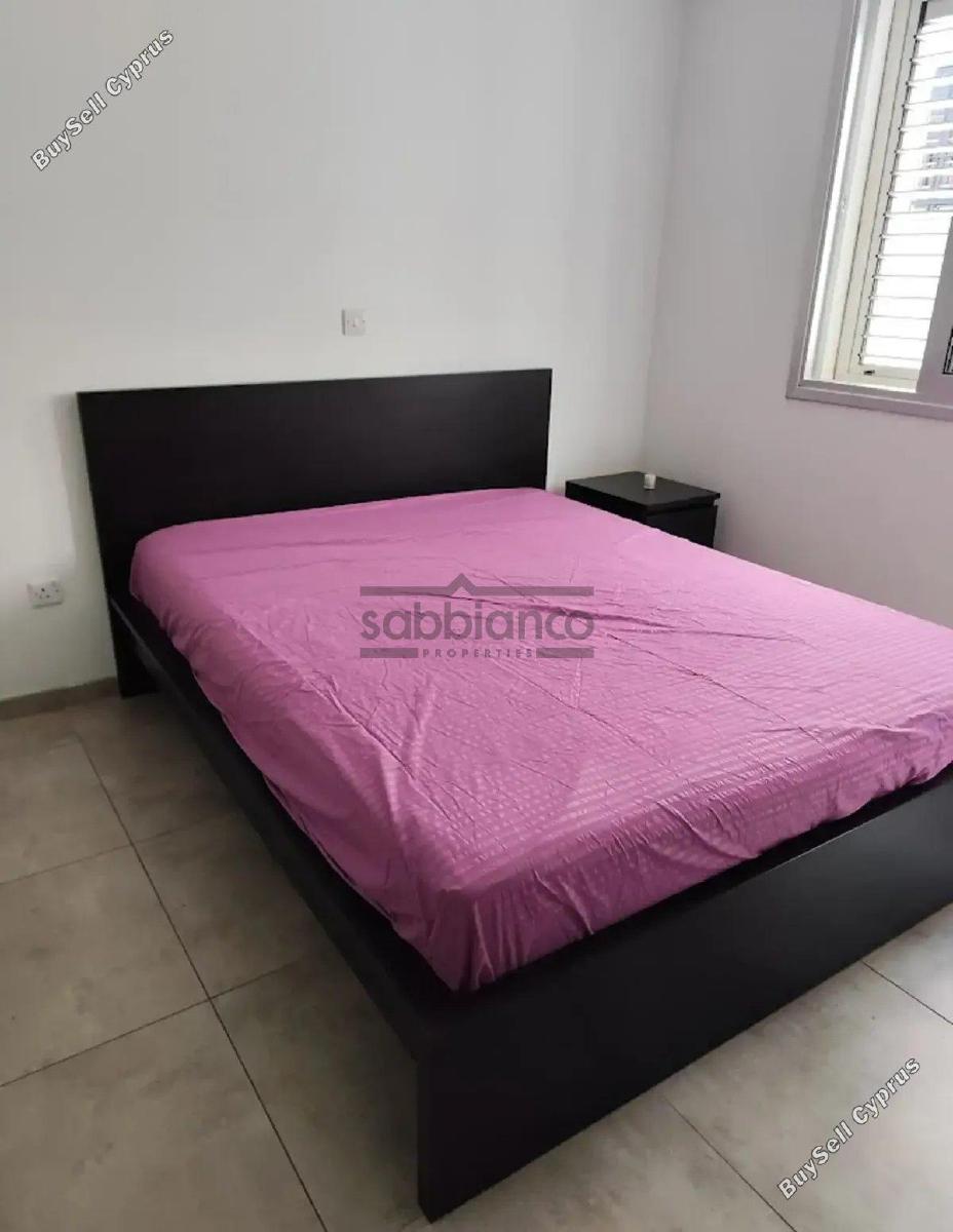 2 bedroom apartment for rent strovolos nicosia 8748472 image 16464739