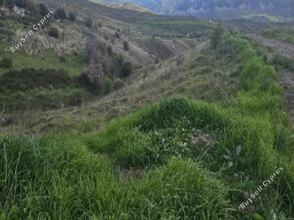 land for sale galataria paphos 8274472 image 15595799