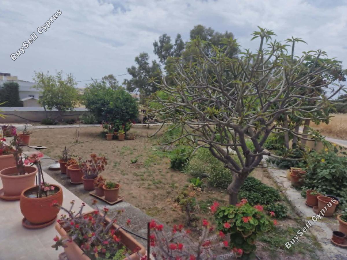 4 bedroom detached house for sale alethriko larnaca 8693572 image 16254022