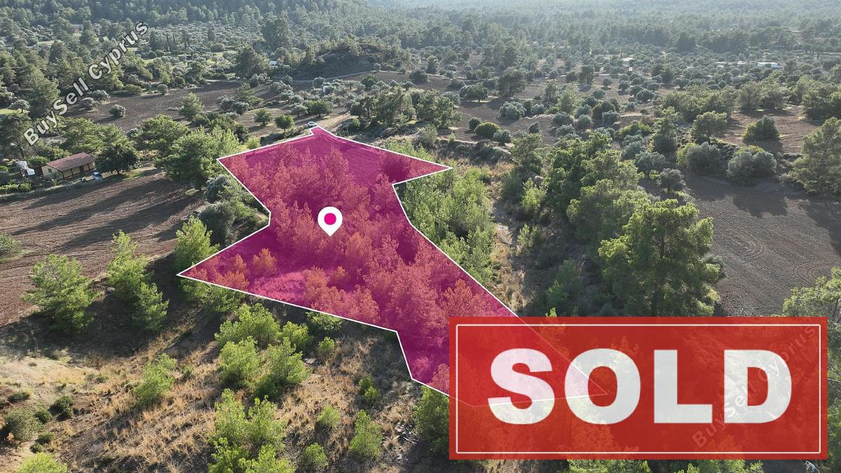 land sold kornos larnaca 1761572 image 4849736