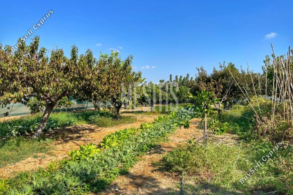 3 bedroom detached house for sale maroni larnaca 1464672 image 10505900