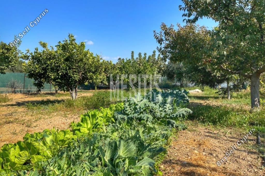 3 bedroom detached house for sale maroni larnaca 1464672 image 10505902