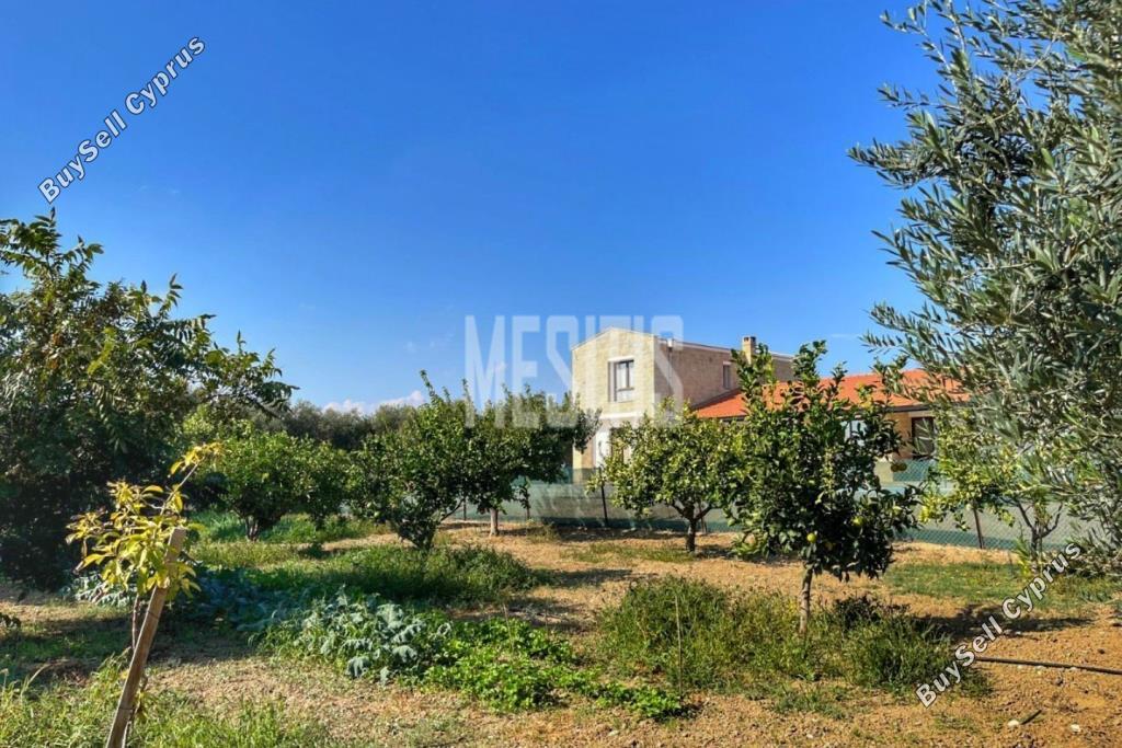 3 bedroom detached house for sale maroni larnaca 1464672 image 10505903