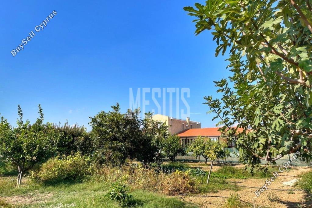 3 bedroom detached house for sale maroni larnaca 1464672 image 10505904