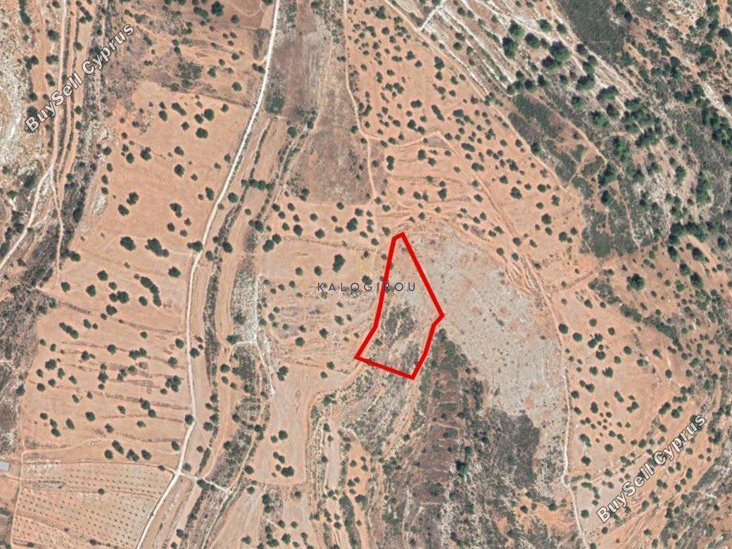 land for sale pachna limassol 1194672 image 5569068