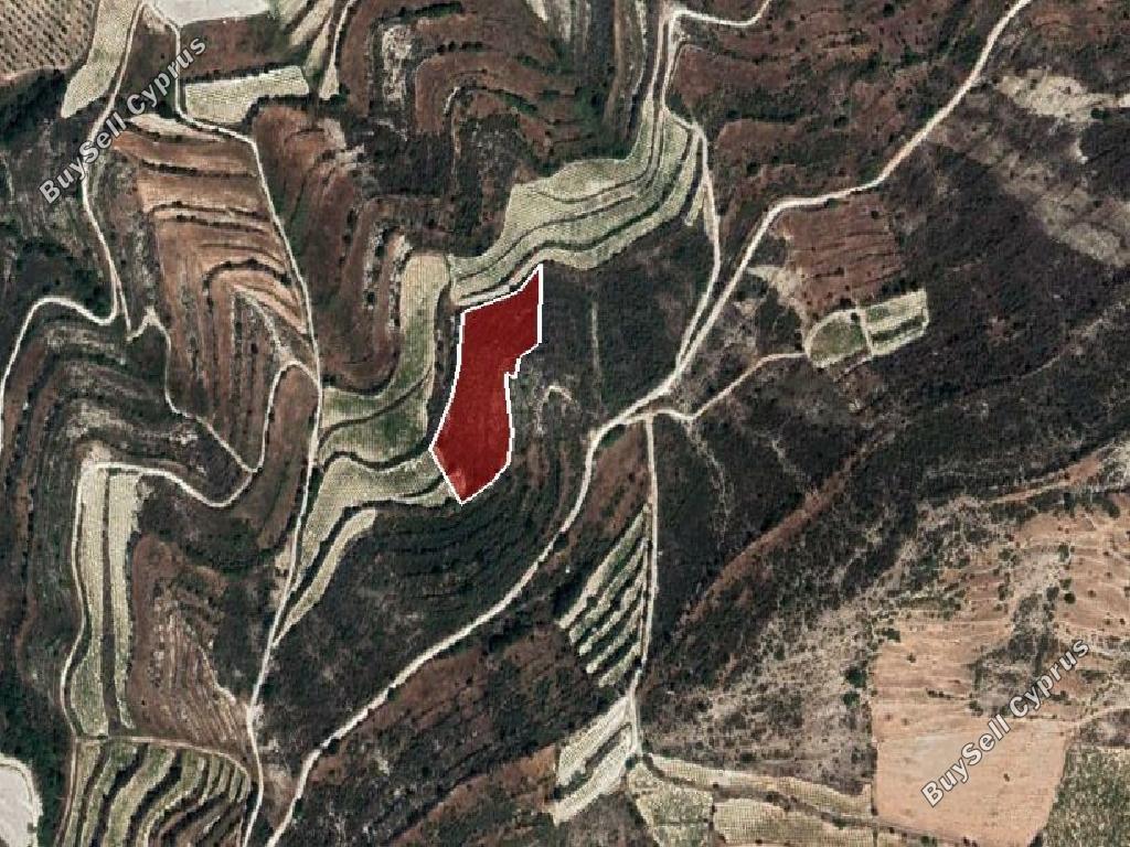 land for sale pachna limassol 8785672 image 16656220