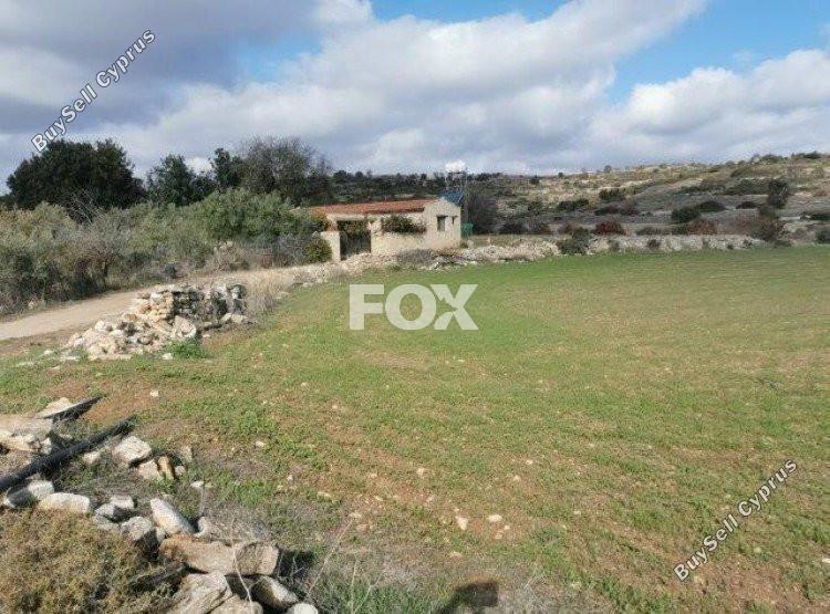 land for sale pissouri limassol 1146672 image 5494888