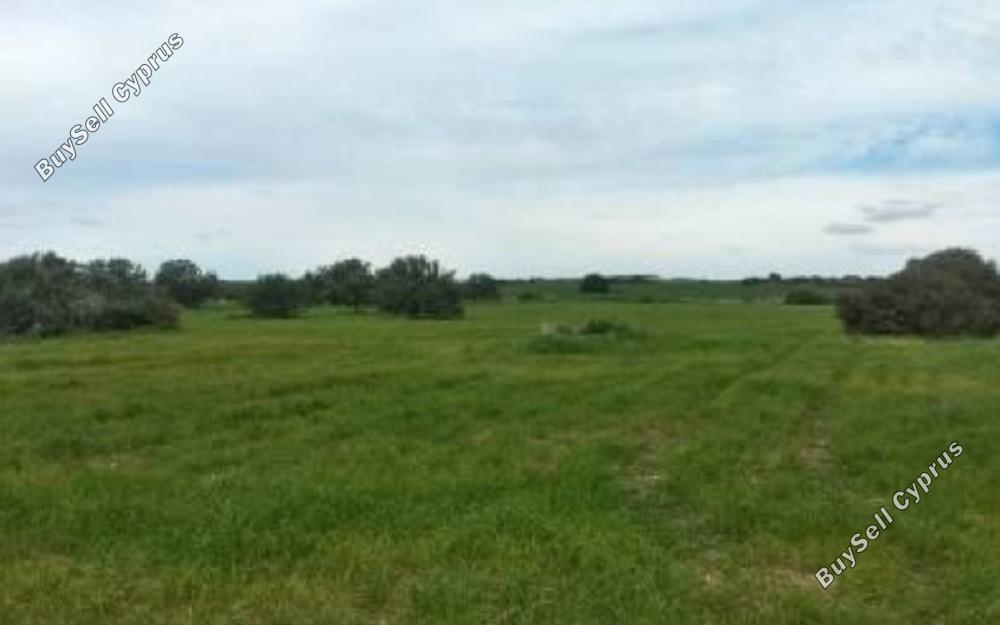 land for sale agios theodoros larnacas larnaca 830872 image 1056790
