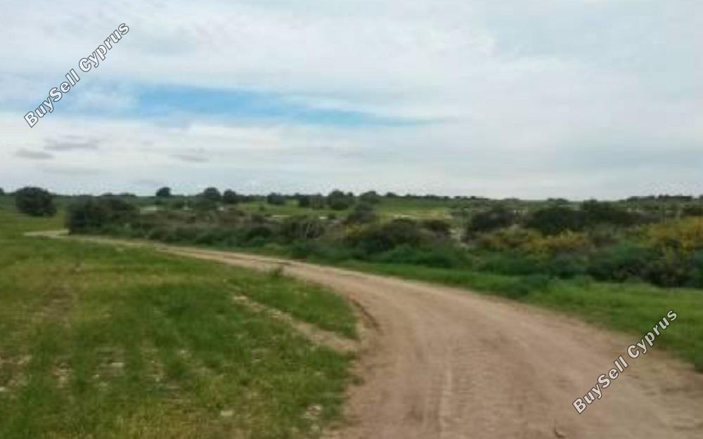 land for sale agios theodoros larnacas larnaca 830872 image 1056791