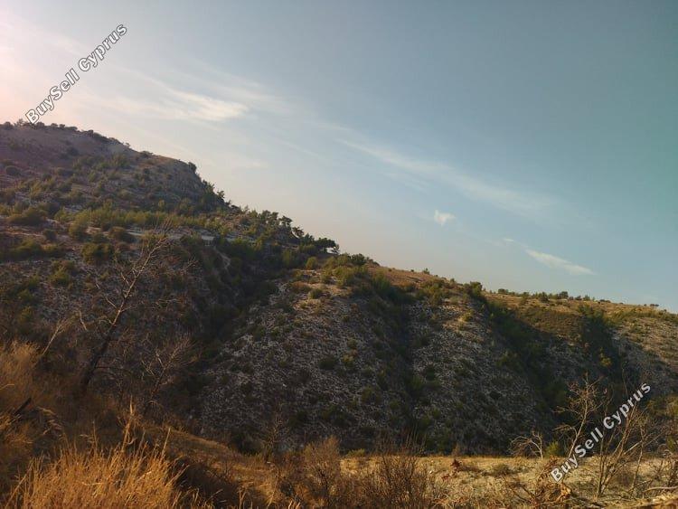land for sale pentalia paphos 1684872 image 4406674