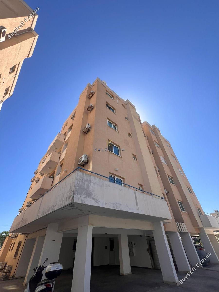 2 bedroom apartment for rent mackenzie larnaca 8804972 image 16805030
