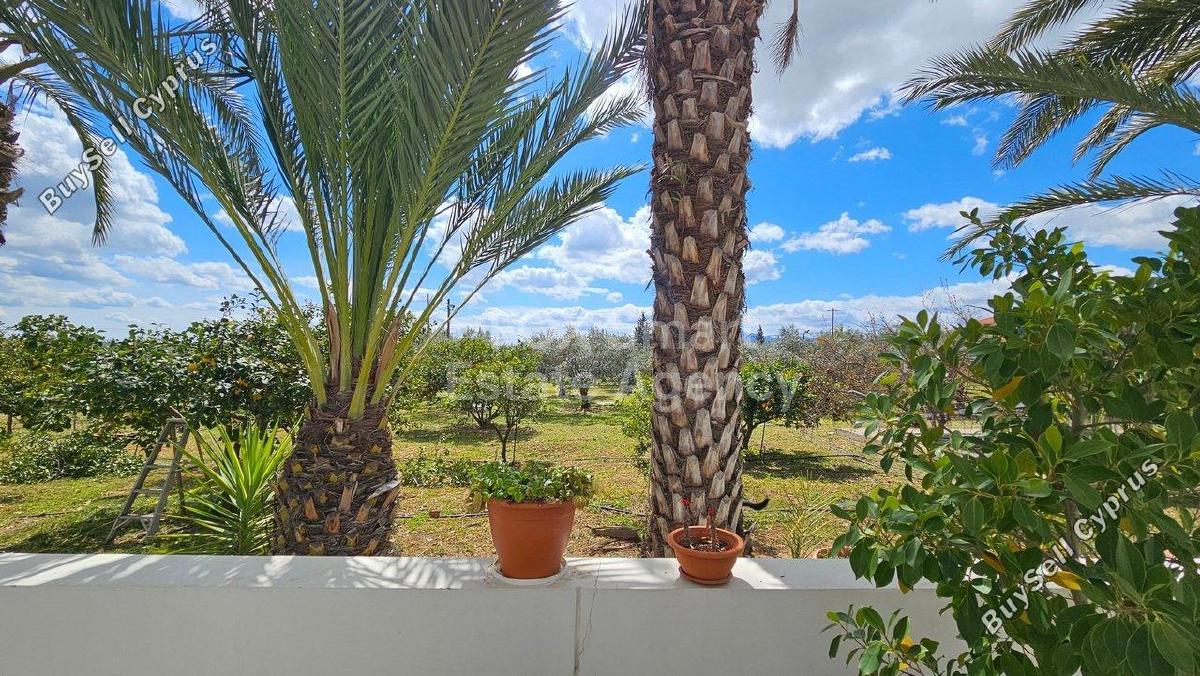 5 bedroom detached house for sale pano deftera nicosia 1331972 image 7285737