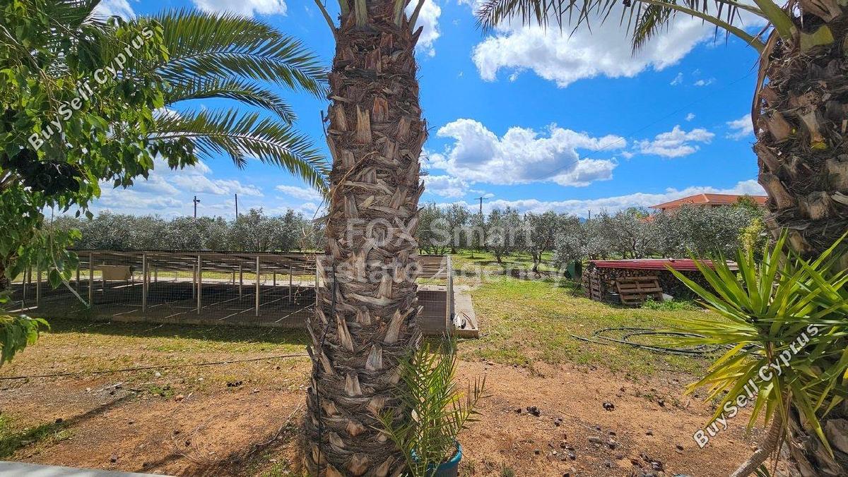 5 bedroom detached house for sale pano deftera nicosia 1331972 image 7285739