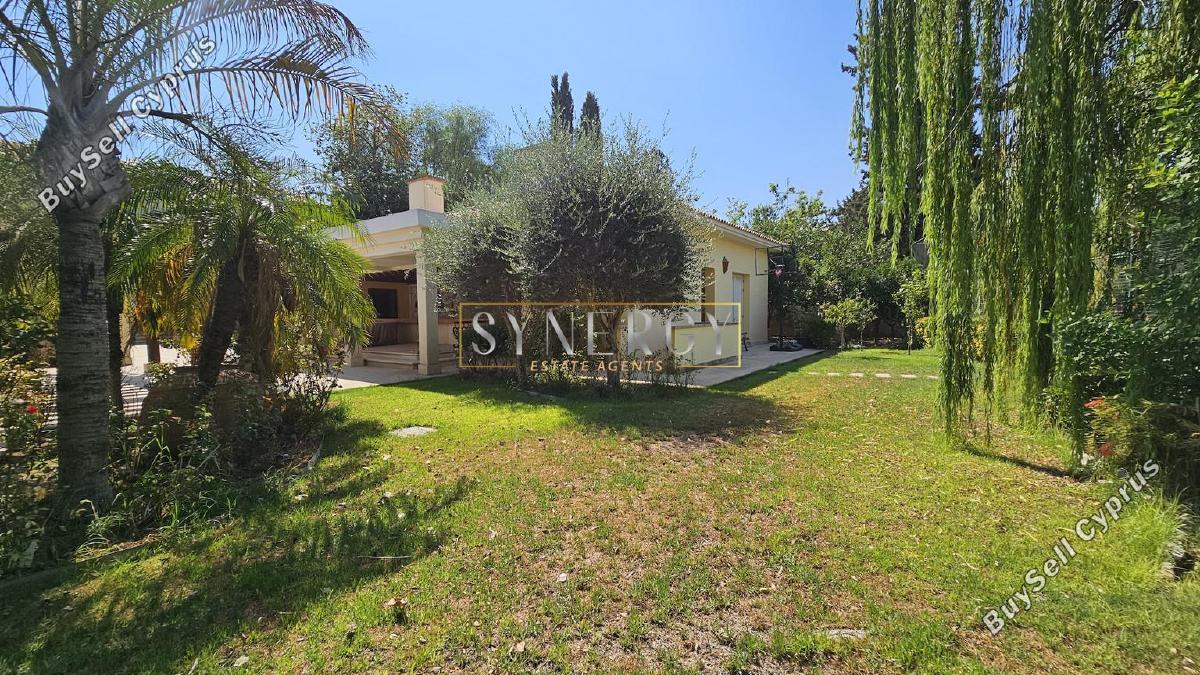 8 bedroom detached house for rent strovolos nicosia 8565972 image 17531548