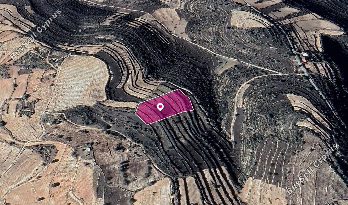 land for sale pachna limassol 1104972 image 13346733