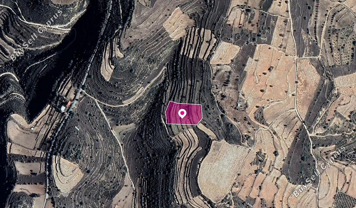 land for sale pachna limassol 1104972 image 13346737