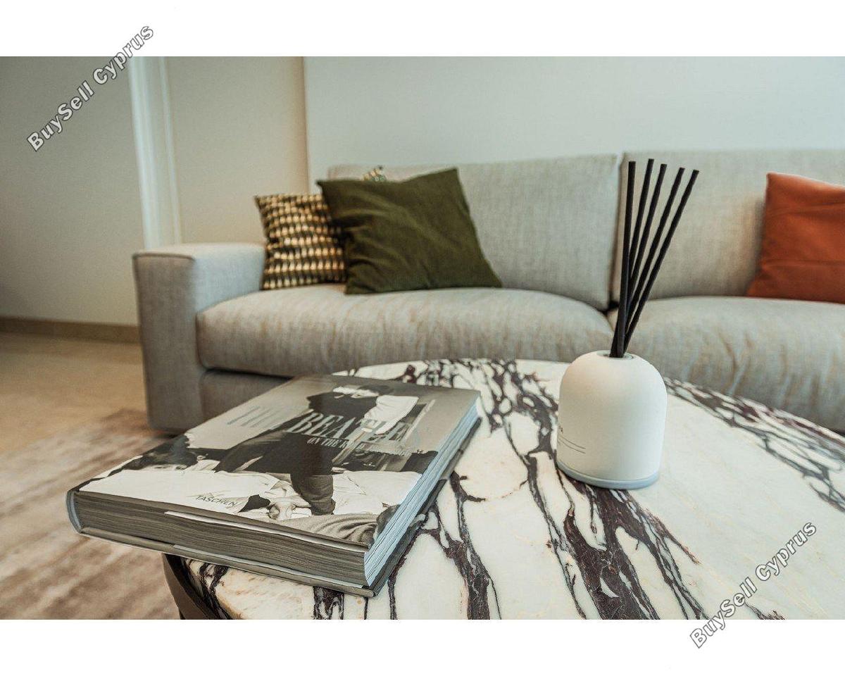 1 bedroom apartment for rent mouttagiaka limassol 1598082 image 16333956