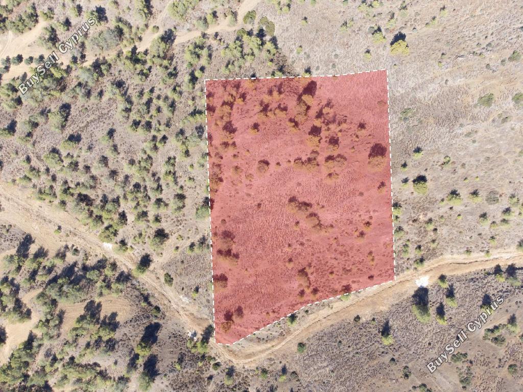 land for sale evrychou nicosia 946082 image 6816258