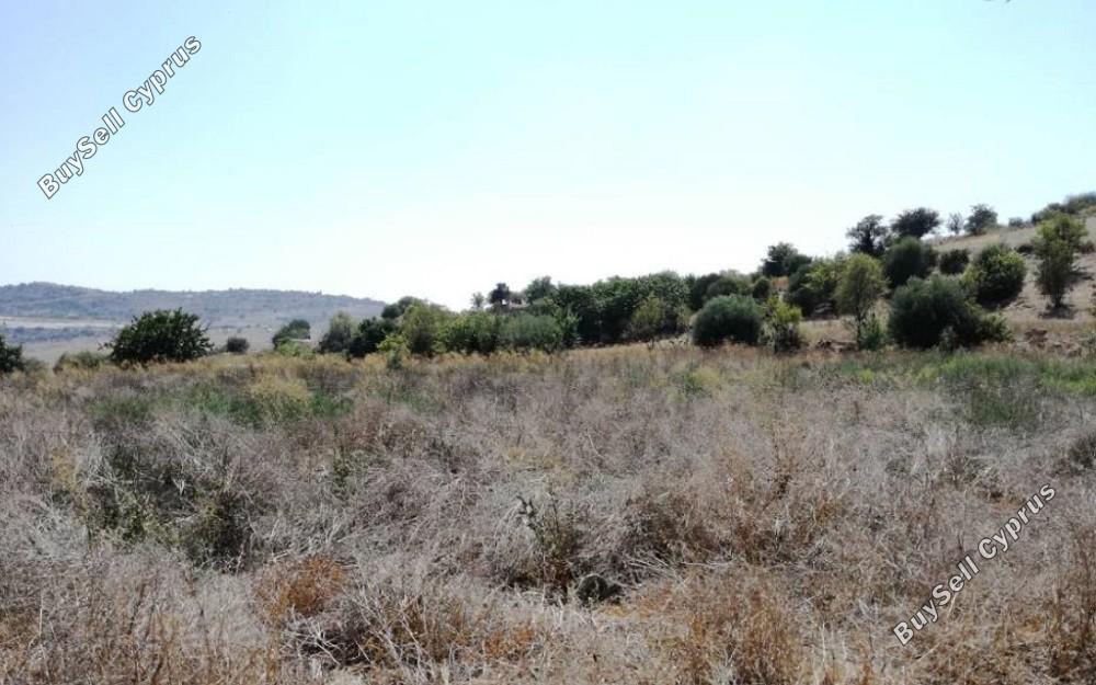 land for sale kritou marottou paphos 8630082 image 15871542