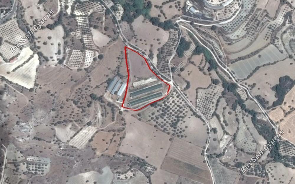 land for sale kritou marottou paphos 8630082 image 15871543