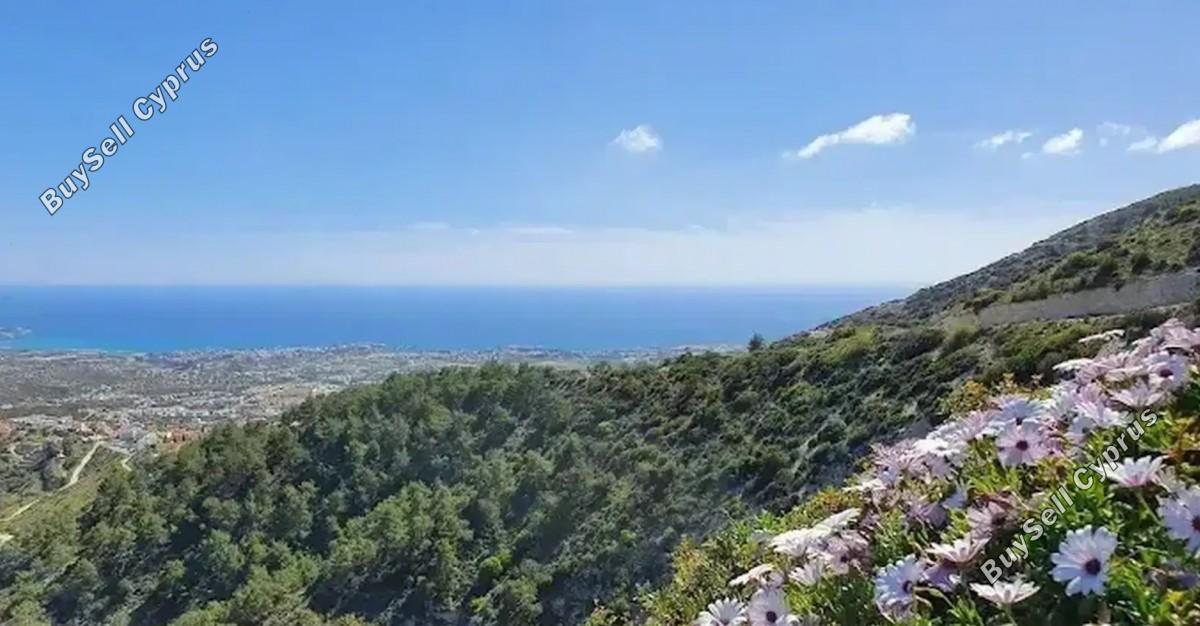 land for sale peyia paphos 8395082 image 14816049