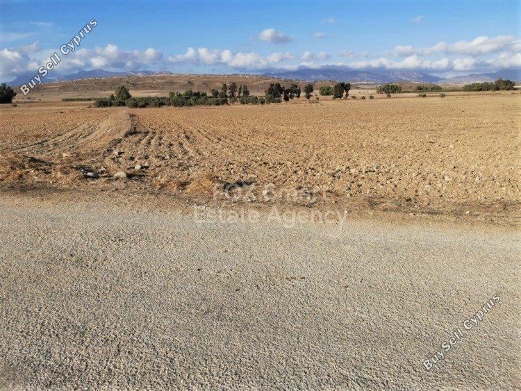 plot for sale mammari nicosia 1151082 image 5127505