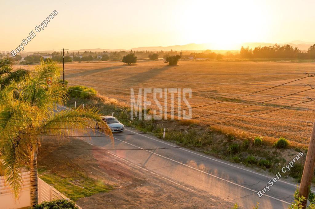 3 bedroom detached house for rent zygi larnaca 8746182 image 16439939