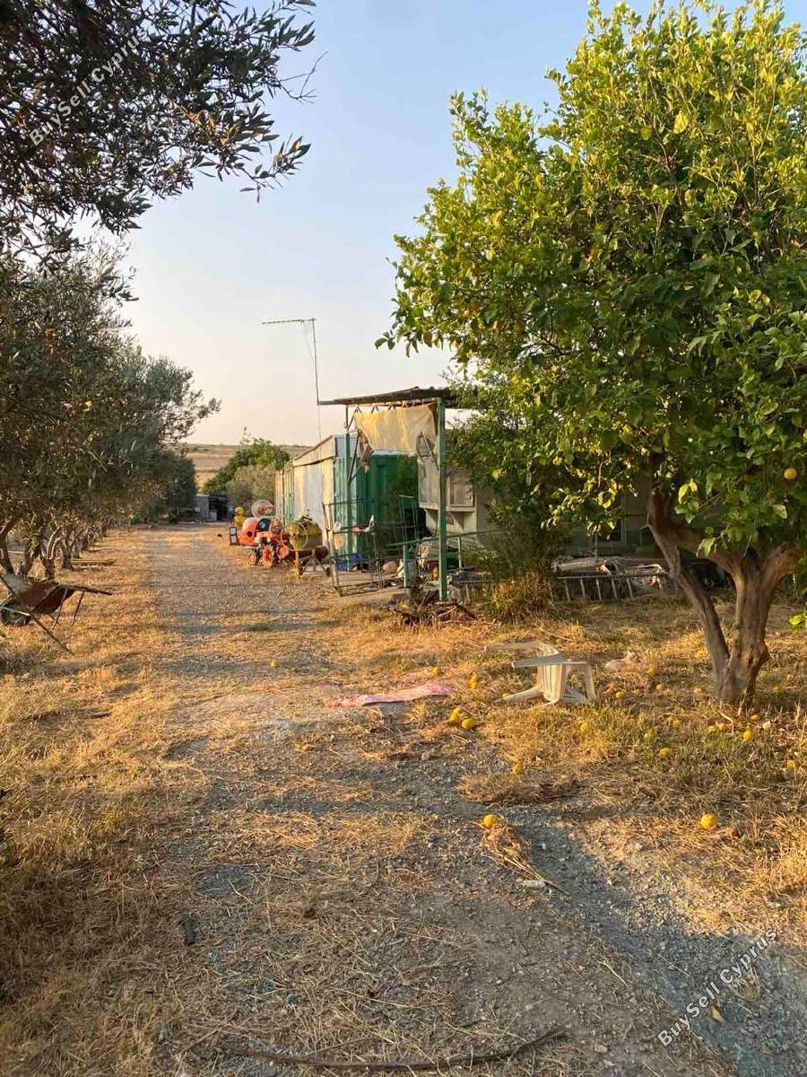 5 bedroom bungalow for sale aradippou larnaca 8880182 image 17265129