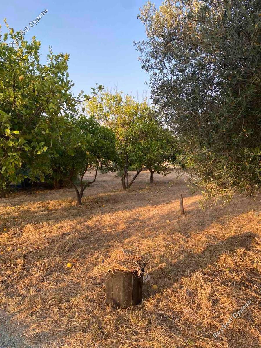 5 bedroom bungalow for sale aradippou larnaca 8880182 image 17290875