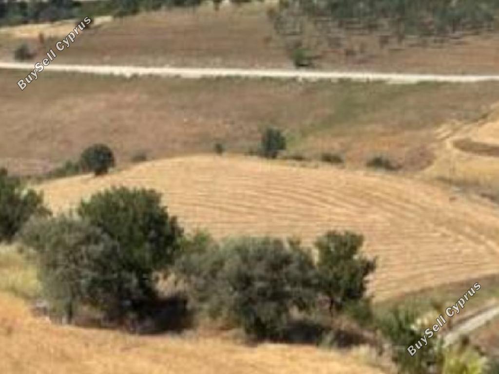 land for sale drimou paphos 8562182 image 16512234