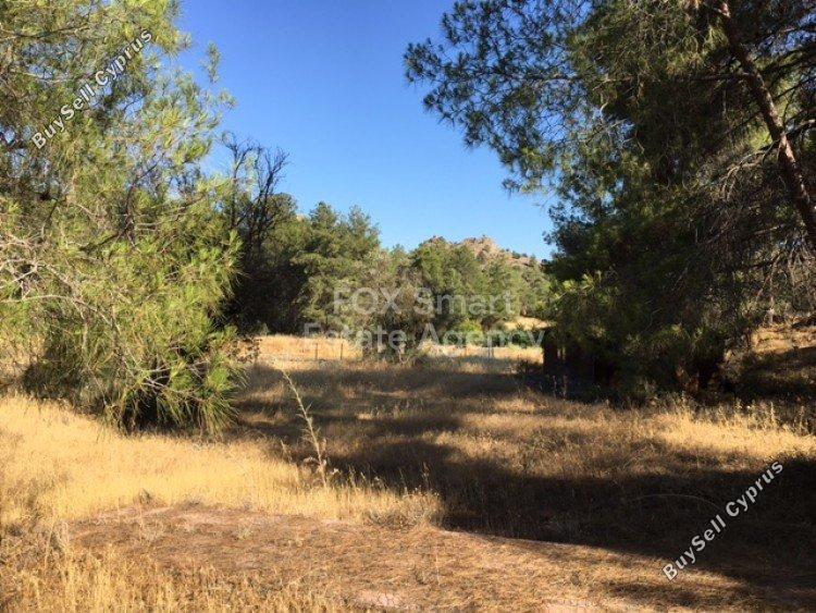 land for sale kornos larnaca 1149182 image 5743210