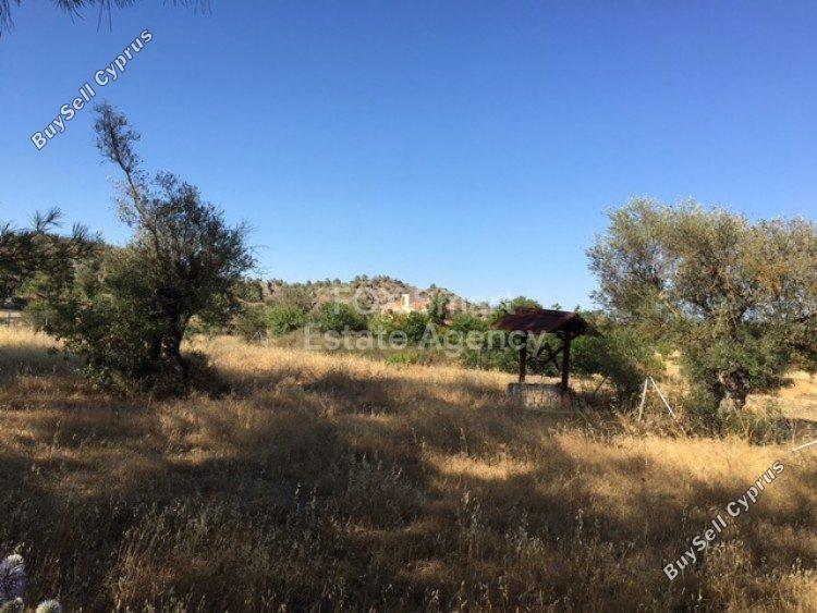 land for sale kornos larnaca 1149182 image 5743218