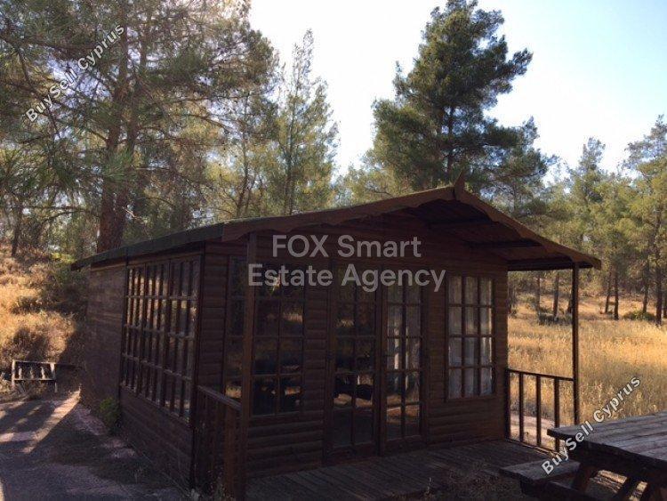 land for sale kornos larnaca 1149182 image 5743222
