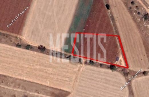 plot for sale liopetri famagusta 1822182 image 10532266