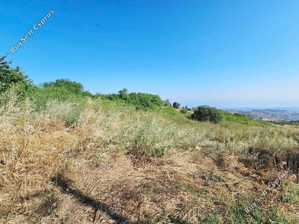 land for sale drousia paphos 8801282 image 16774004