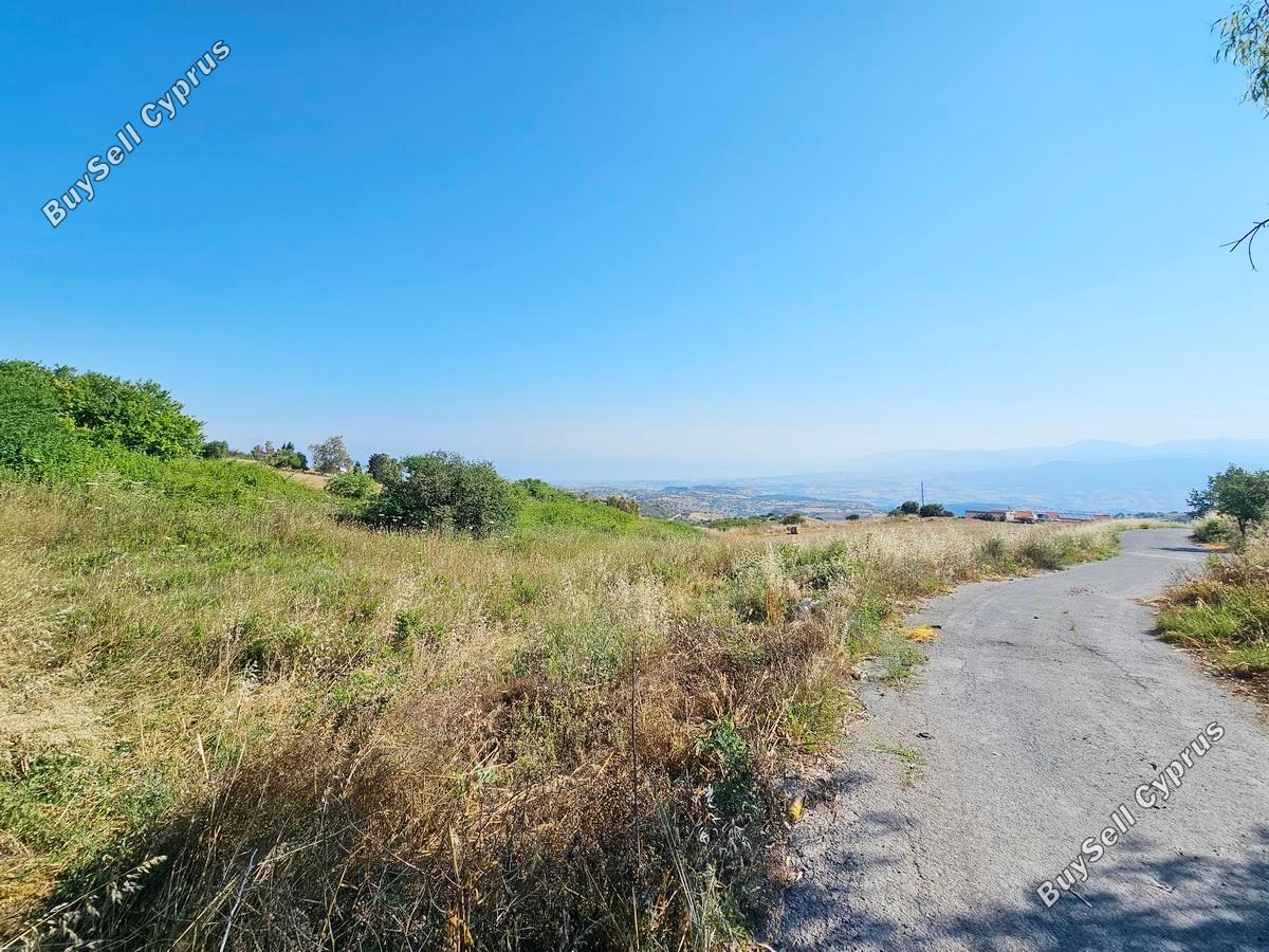 land for sale drousia paphos 8801282 image 16774005