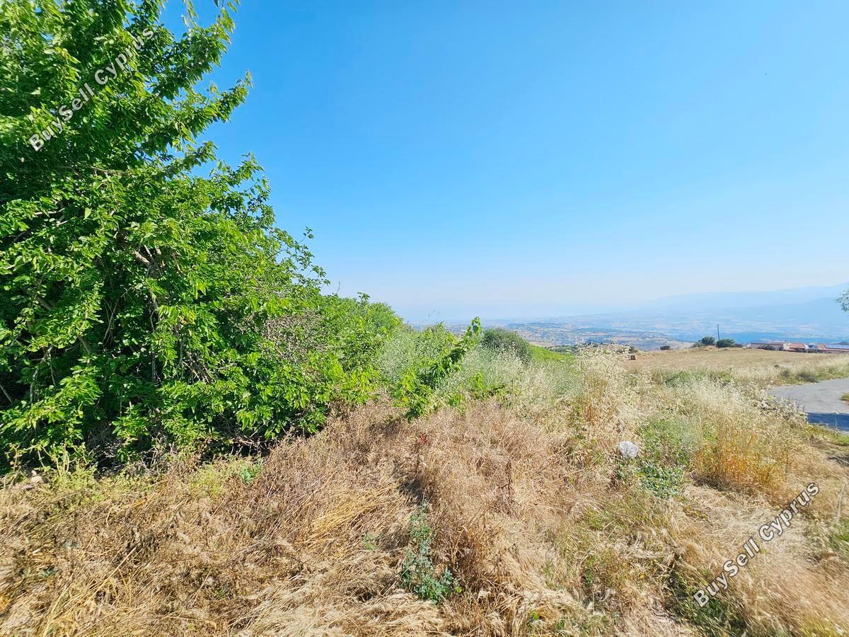 land for sale drousia paphos 8801282 image 16774010