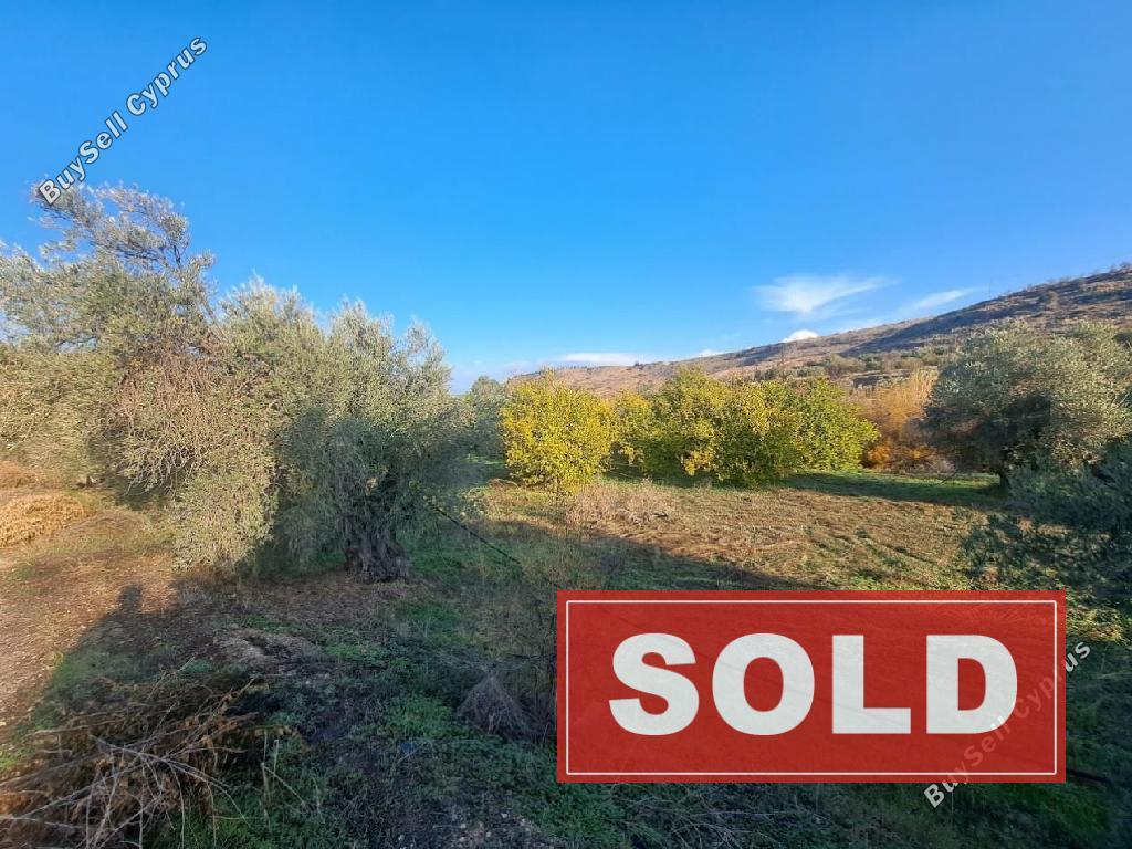 land sold vyzakia nicosia 7898282 image 13964737
