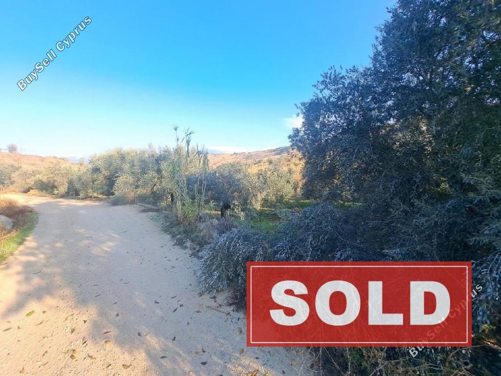 land sold vyzakia nicosia 7898282 image 13964740