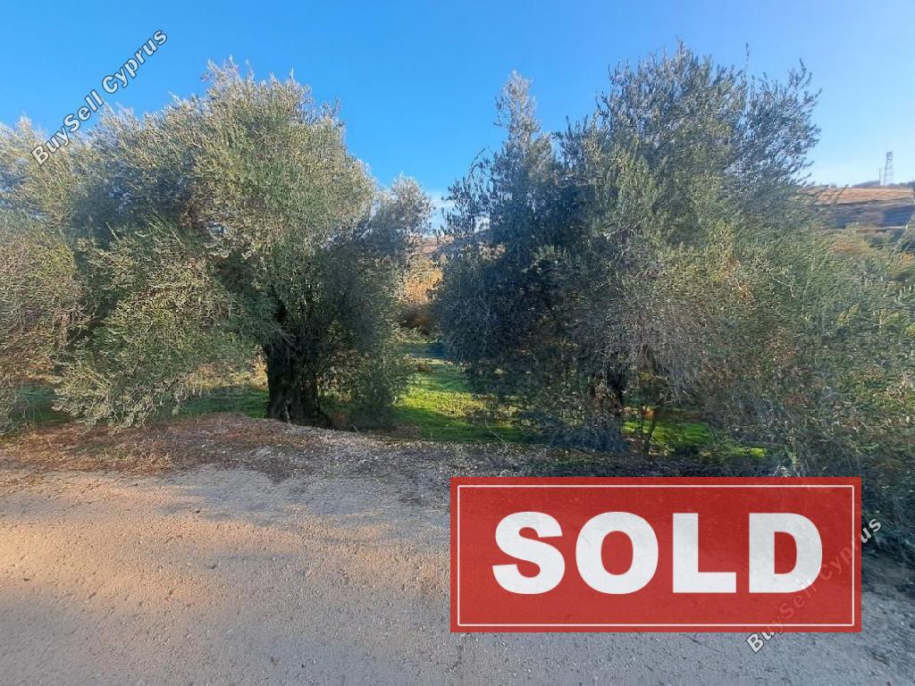 land sold vyzakia nicosia 7898282 image 13964742