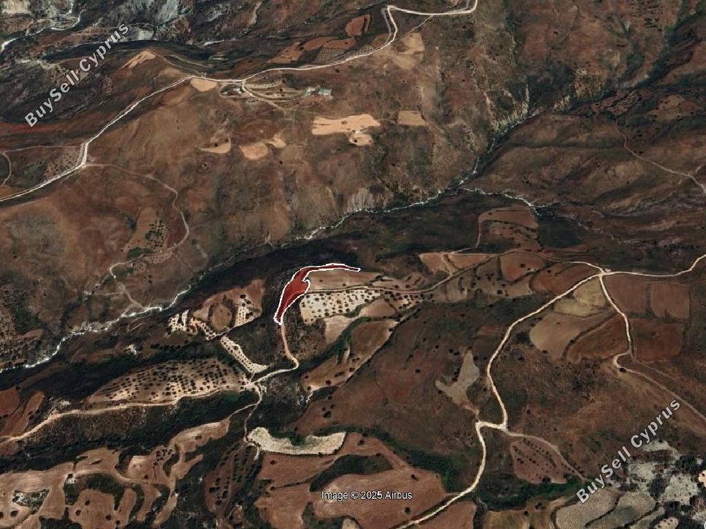 land for sale ineia paphos 1721382 image 16009502